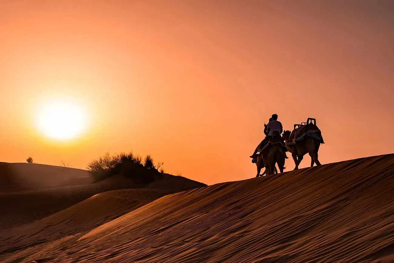 Evening + Camel Ride