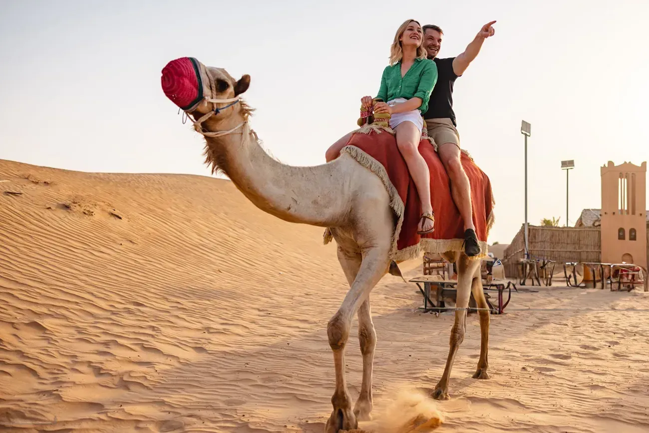 Morning + Camel Ride