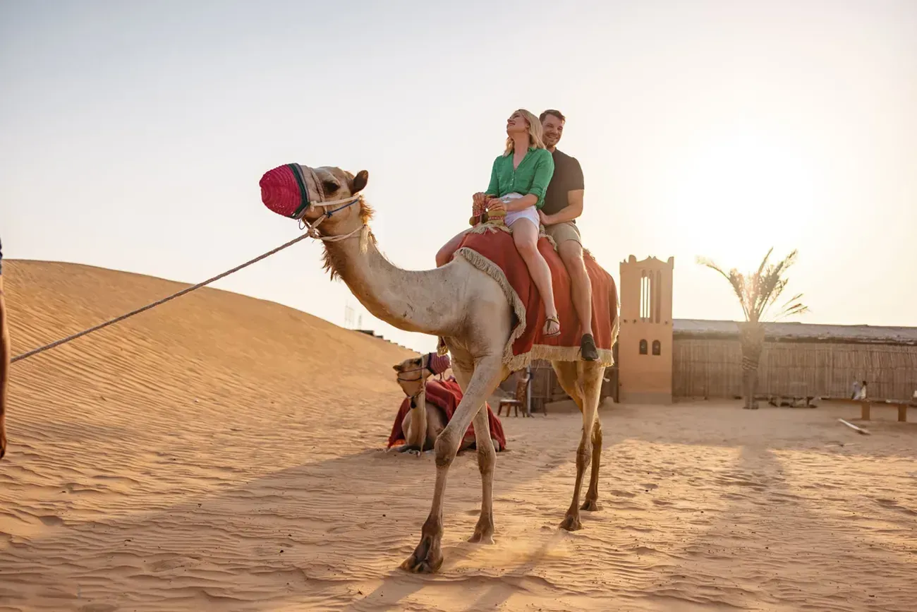 Camel Rides