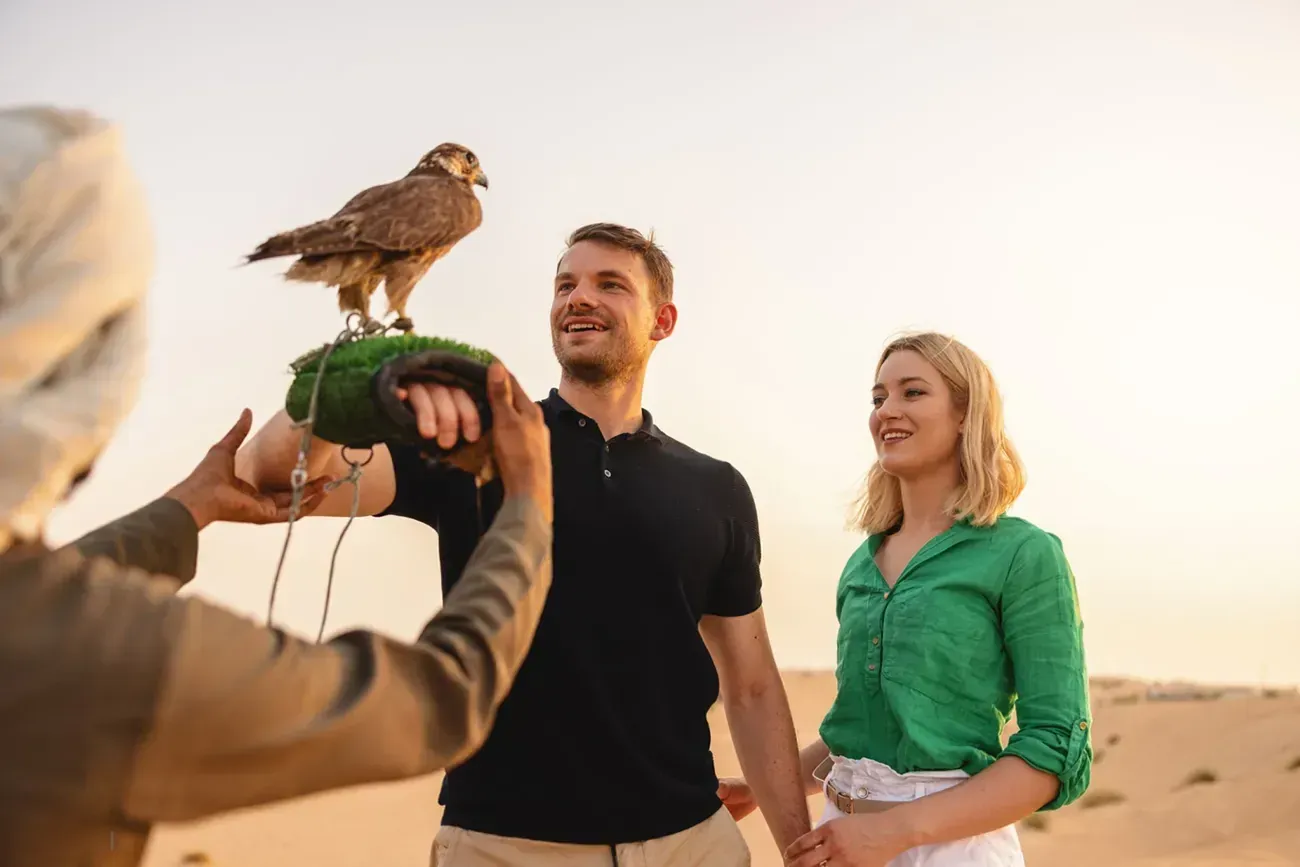 Falcon Encounters