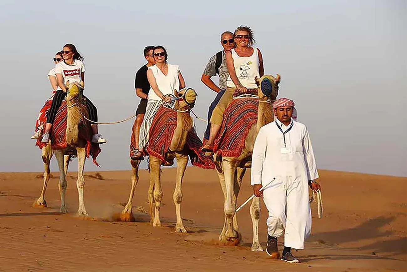 Camel Rides