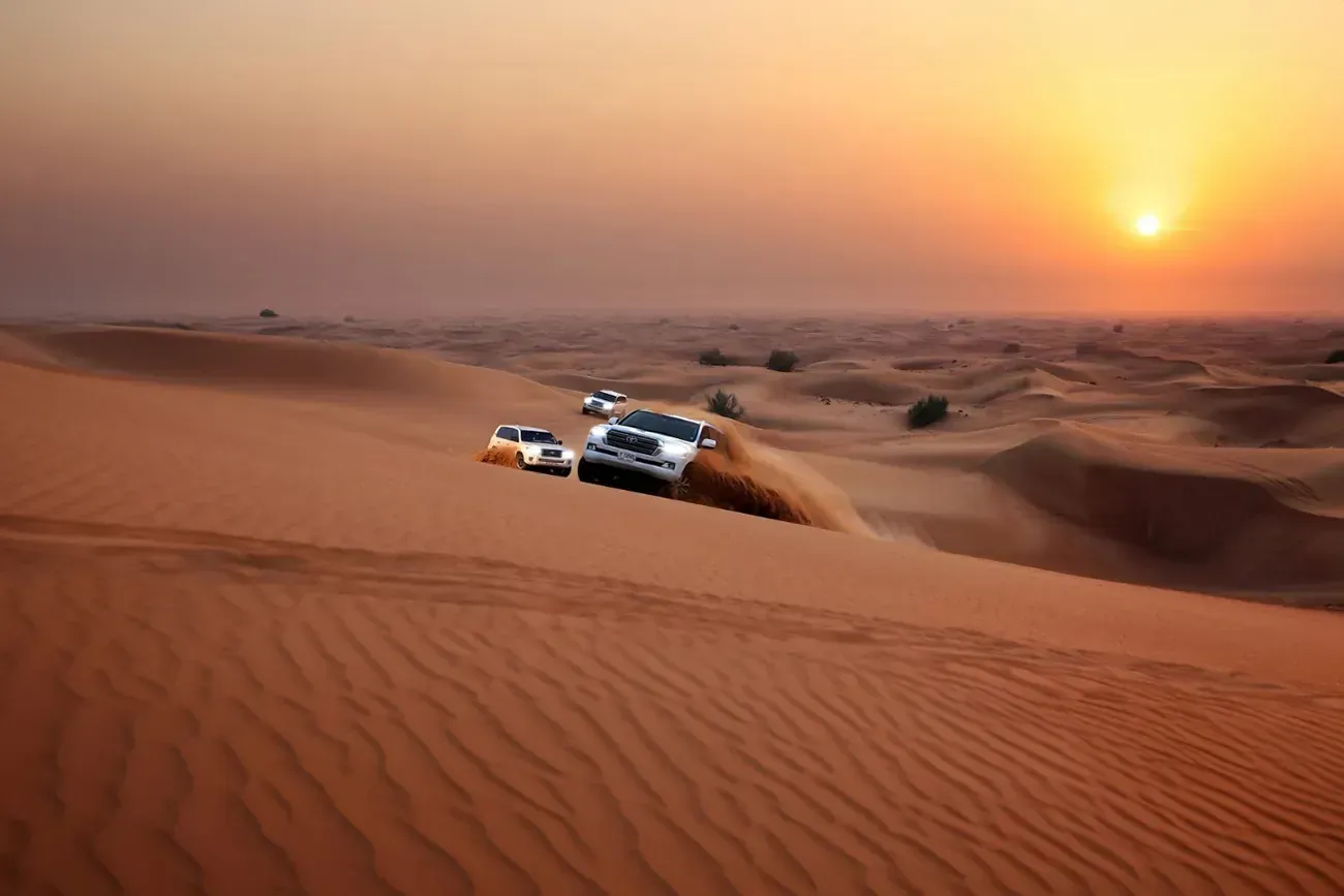 Evening Desert Safari