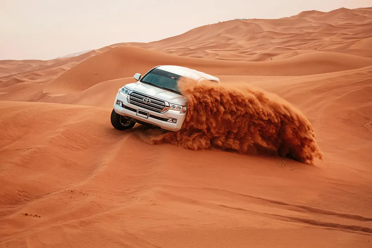 Morning Desert Safari